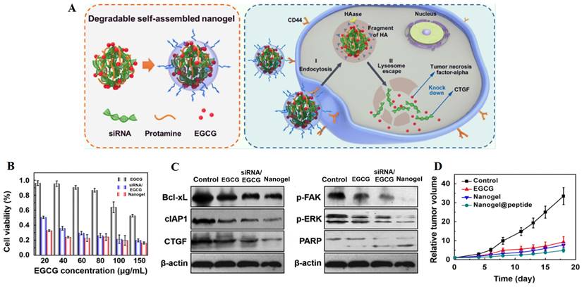 Int J Biol Sci Image