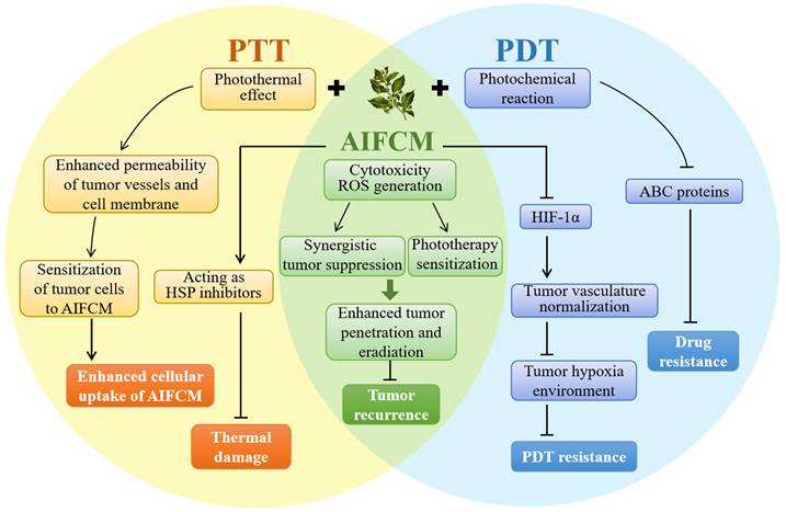 Int J Biol Sci Image