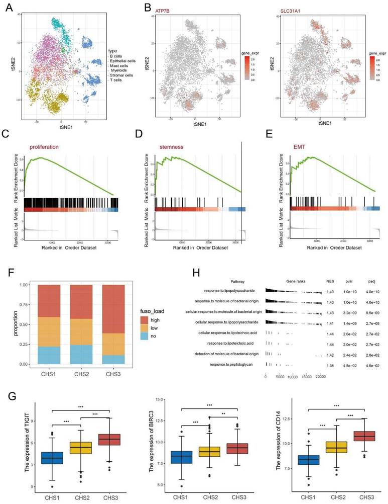 Int J Biol Sci Image