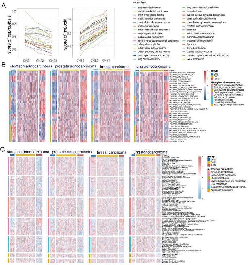 Int J Biol Sci Image