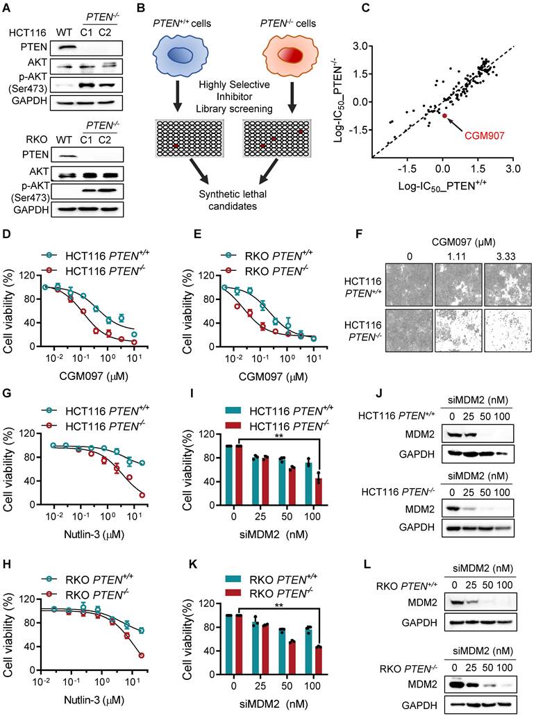 Int J Biol Sci Image