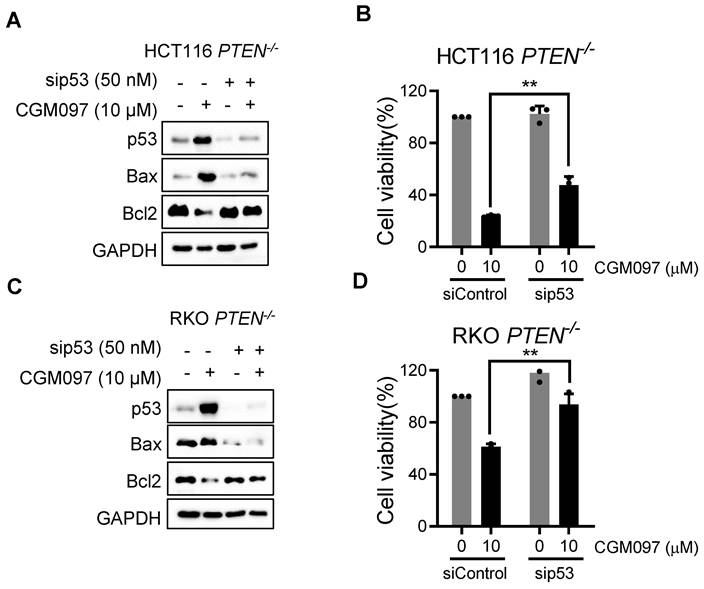 Int J Biol Sci Image