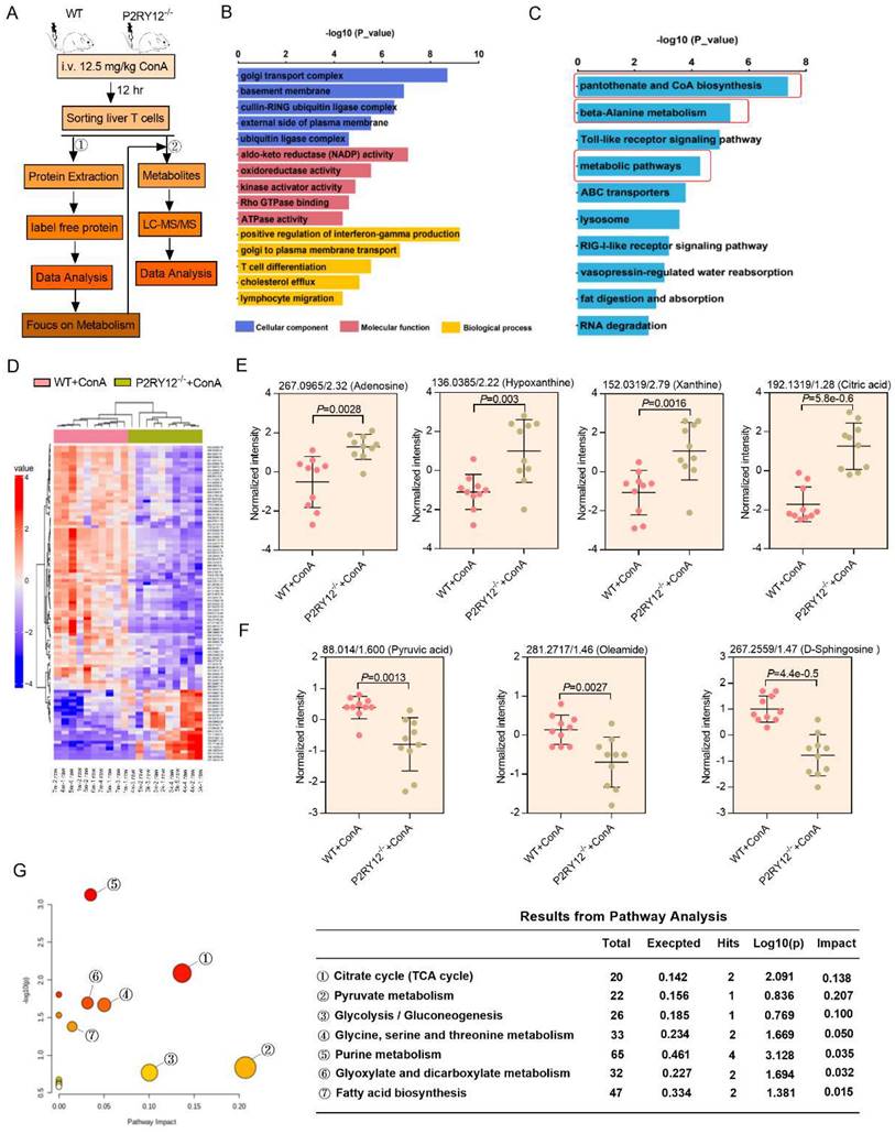 Int J Biol Sci Image