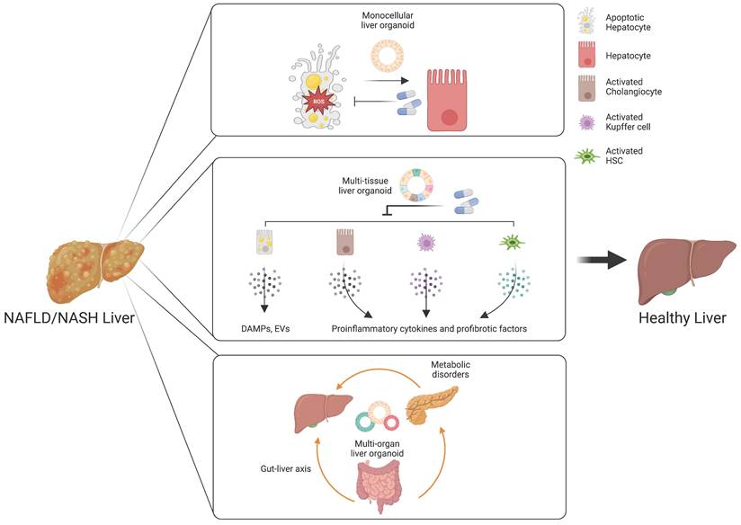 Int J Biol Sci Image