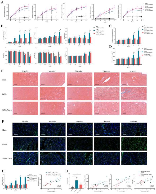 Int J Biol Sci Image