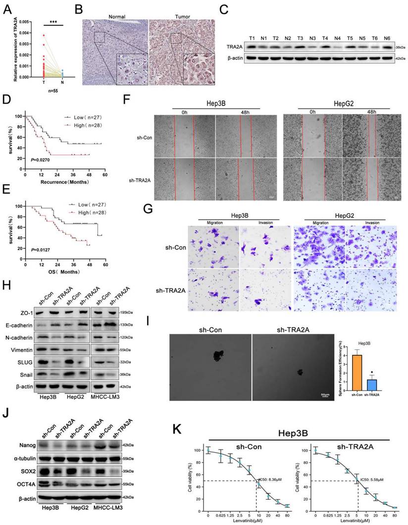 Int J Biol Sci Image