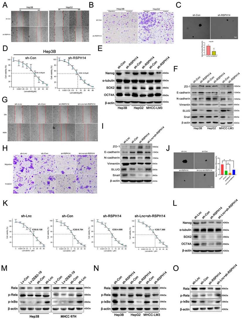 Int J Biol Sci Image