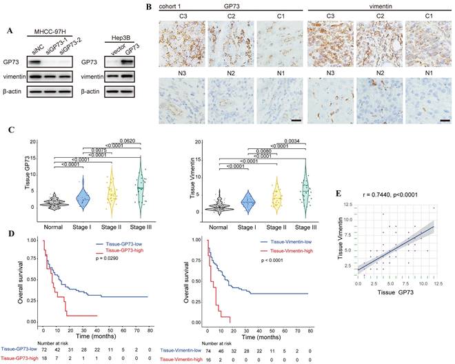 Int J Biol Sci Image