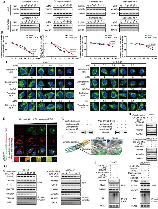 Int J Biol Sci Image