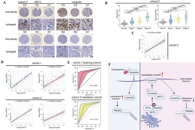 Int J Biol Sci Image