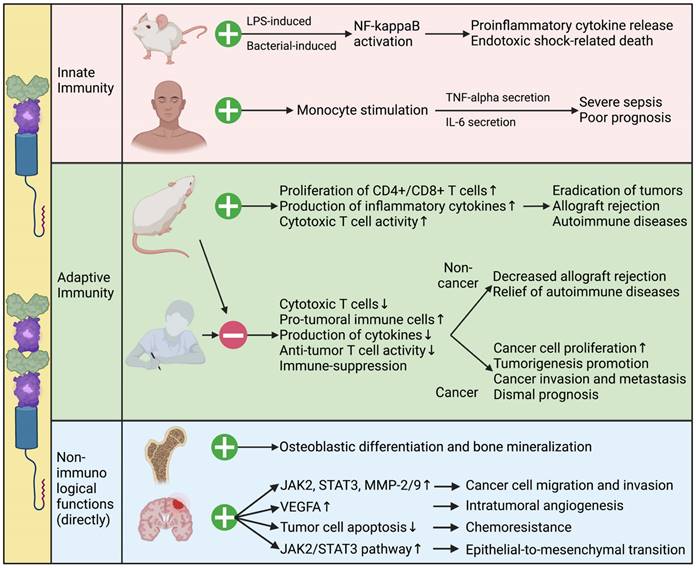 Int J Biol Sci Image