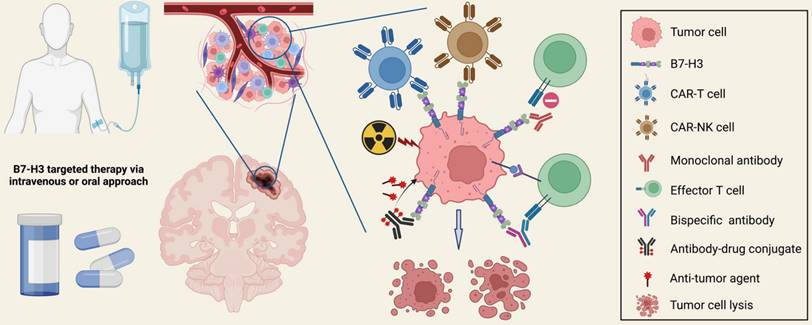 Int J Biol Sci Image