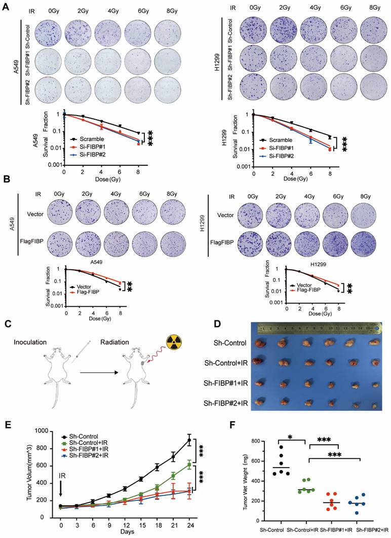 Int J Biol Sci Image