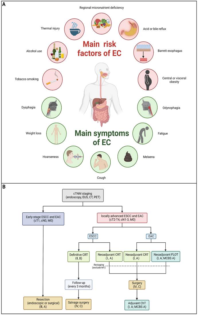 Int J Biol Sci Image