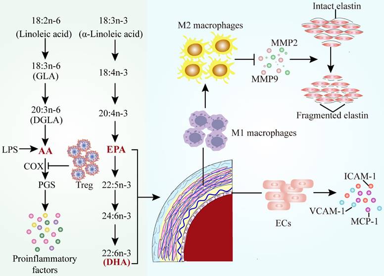 Int J Biol Sci Image