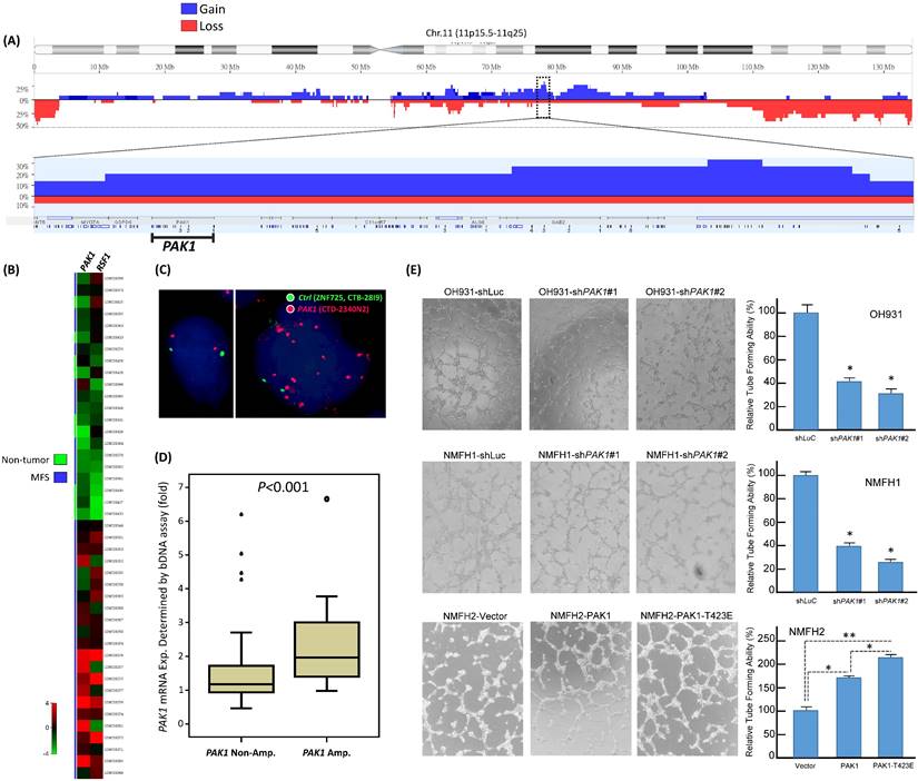 Int J Biol Sci Image