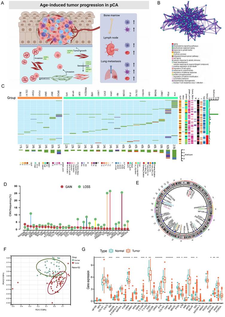 Int J Biol Sci Image