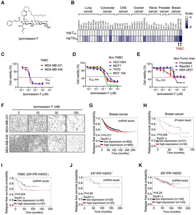 Int J Biol Sci Image