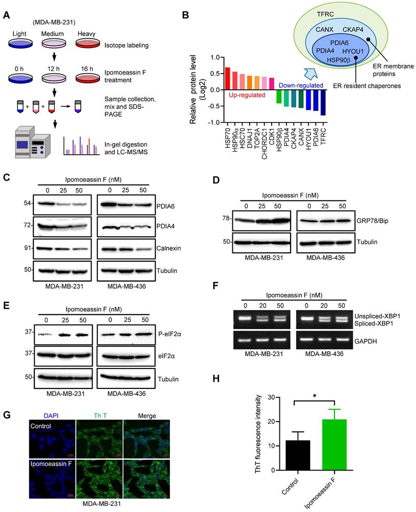 Int J Biol Sci Image