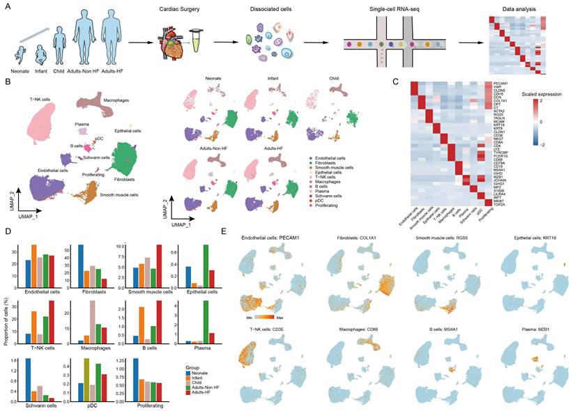 Int J Biol Sci Image