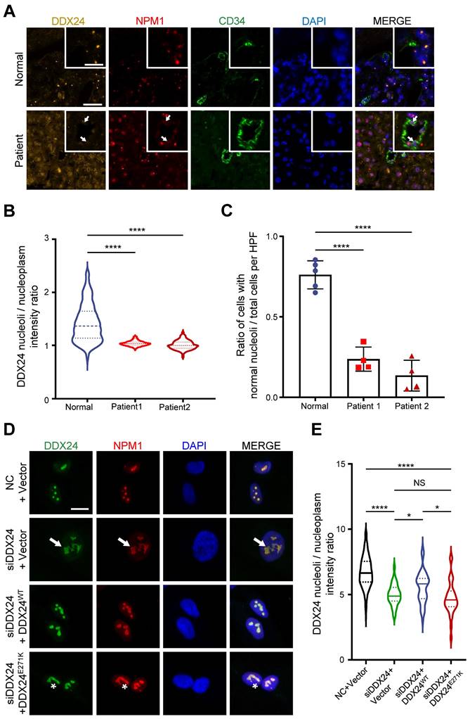 Int J Biol Sci Image