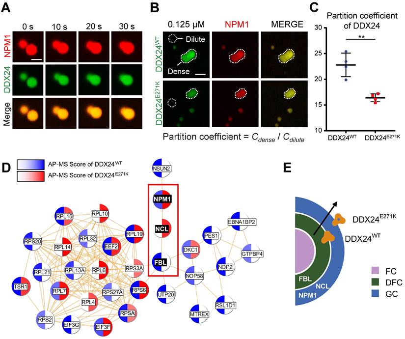 Int J Biol Sci Image