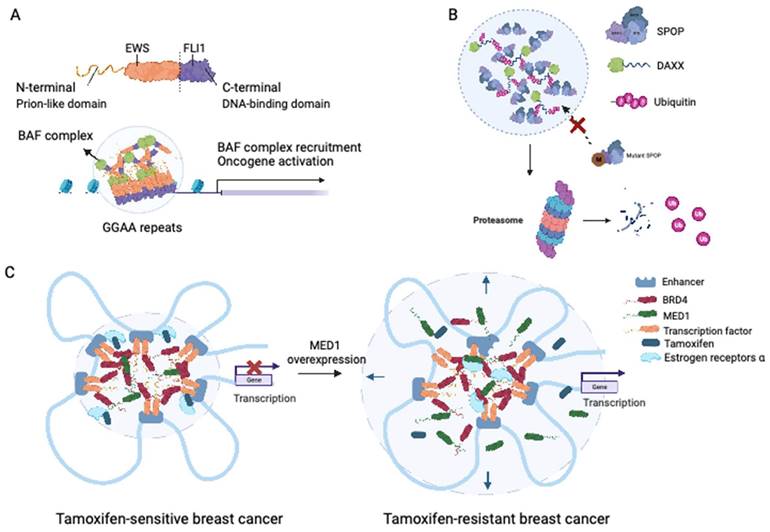 Int J Biol Sci Image