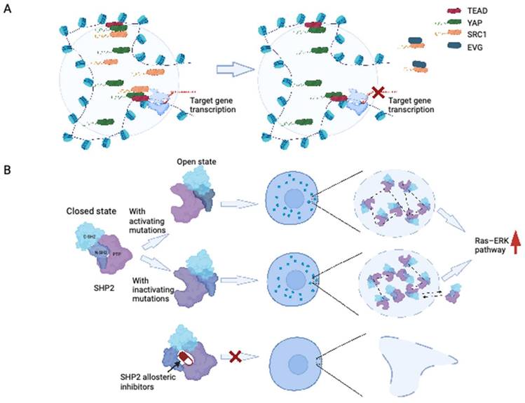 Int J Biol Sci Image