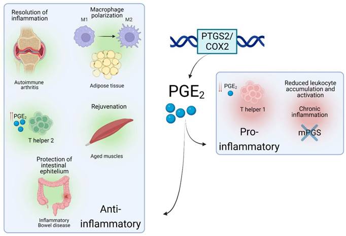 Int J Biol Sci Image