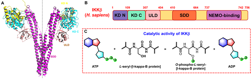 Int J Biol Sci Image