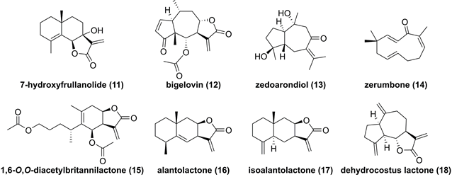 Int J Biol Sci Image