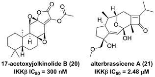 Int J Biol Sci Image