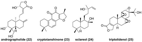 Int J Biol Sci Image