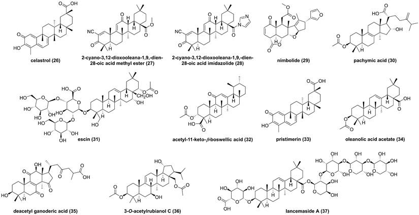 Int J Biol Sci Image