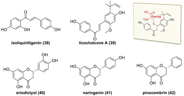 Int J Biol Sci Image