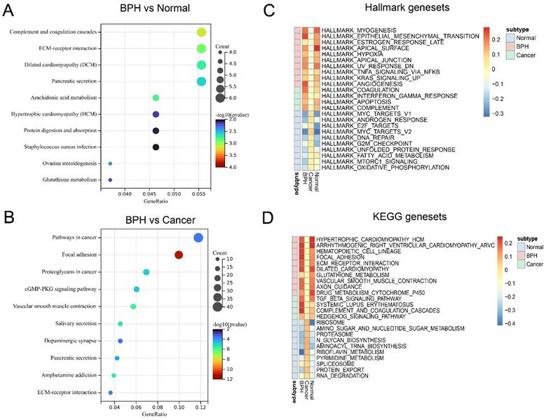 Int J Biol Sci Image