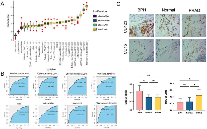 Int J Biol Sci Image