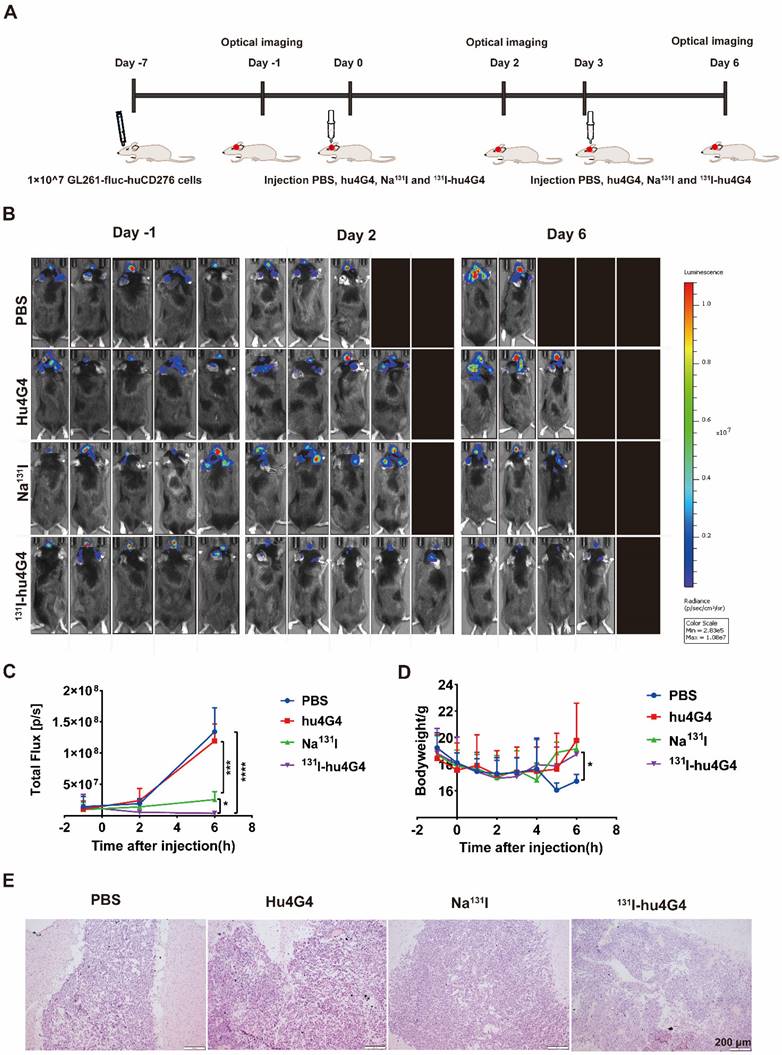 Int J Biol Sci Image