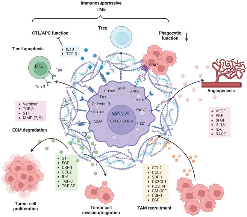 Int J Biol Sci Image
