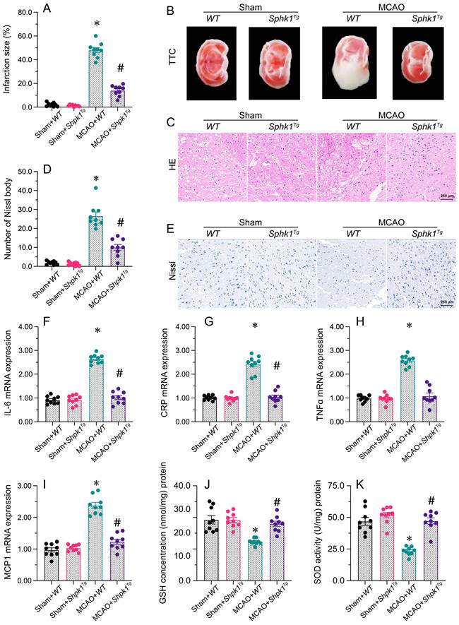 Int J Biol Sci Image