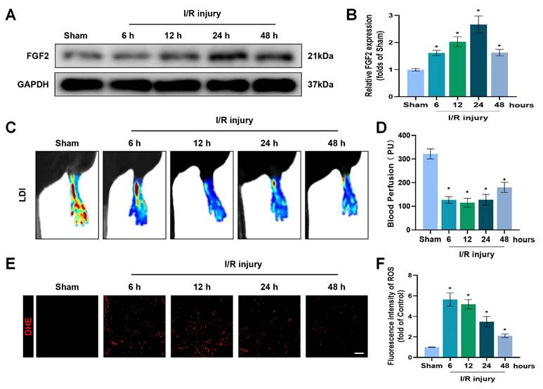 Int J Biol Sci Image