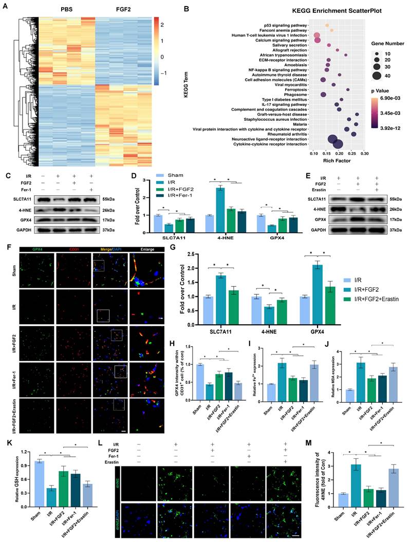 Int J Biol Sci Image