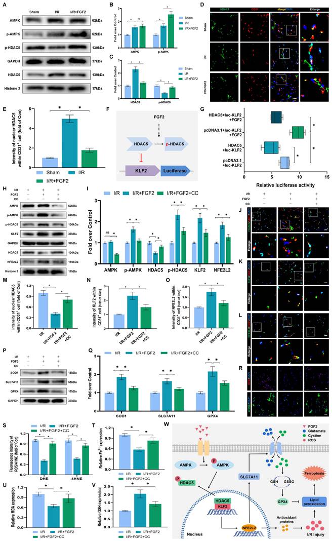 Int J Biol Sci Image