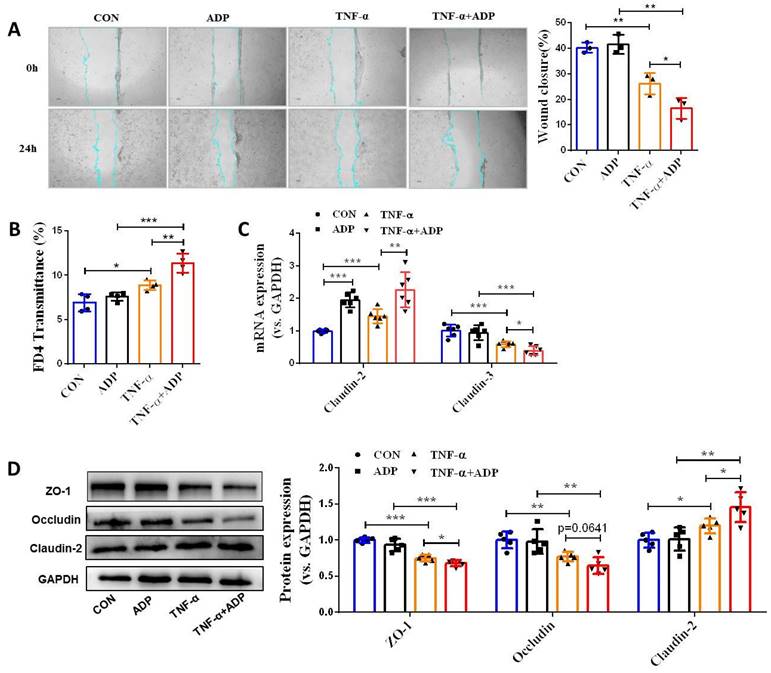 Int J Biol Sci Image