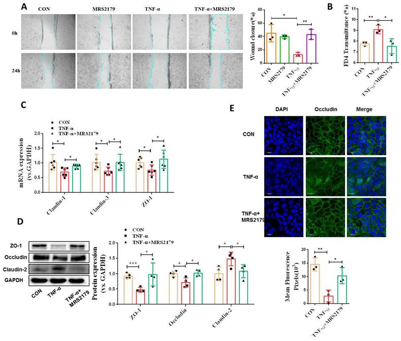 Int J Biol Sci Image