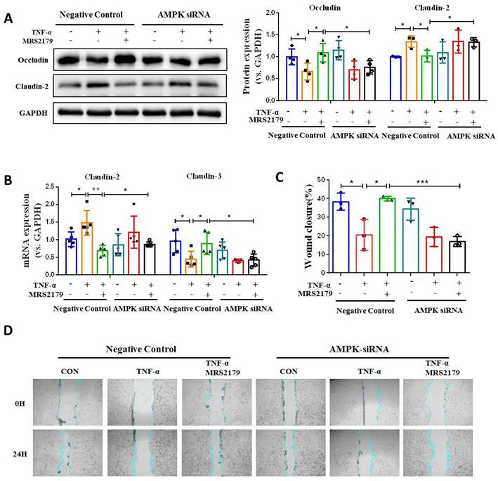 Int J Biol Sci Image