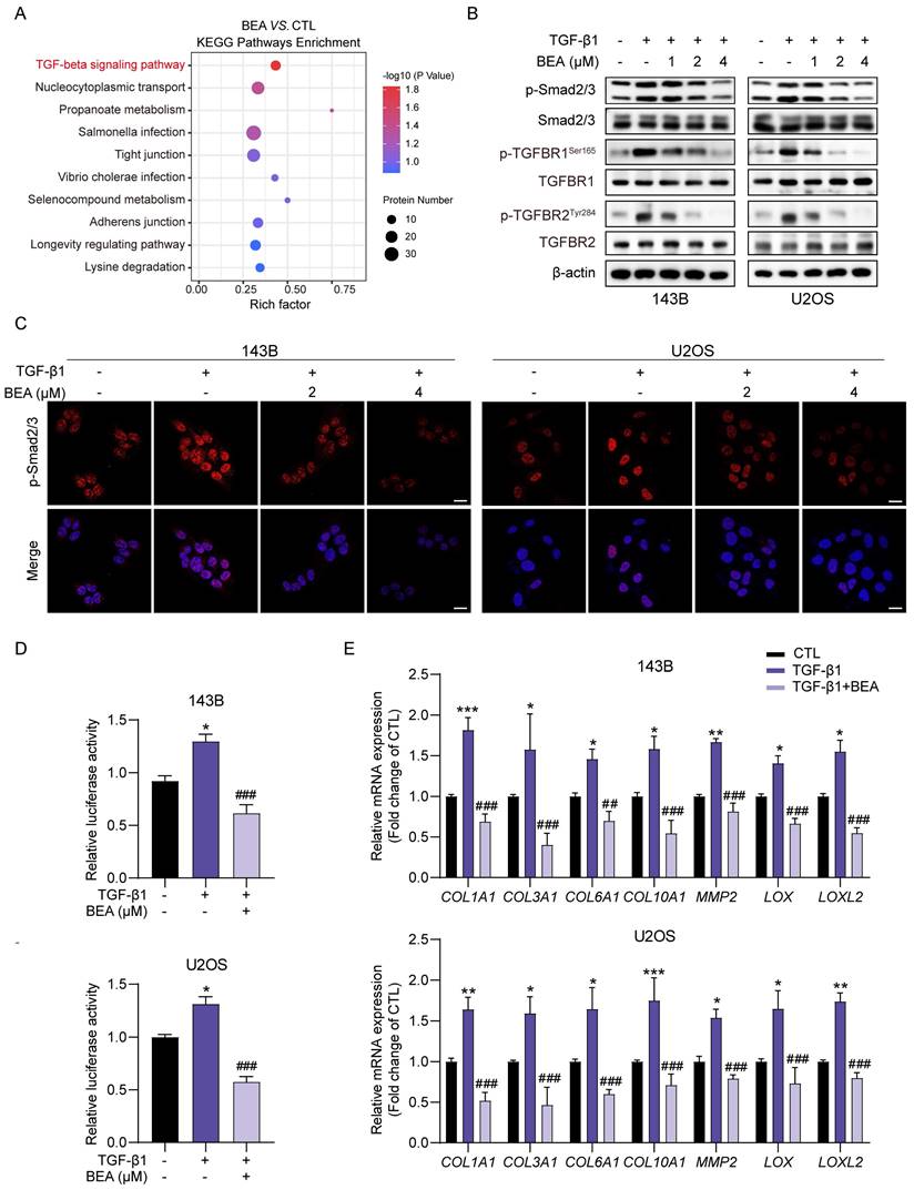 Int J Biol Sci Image