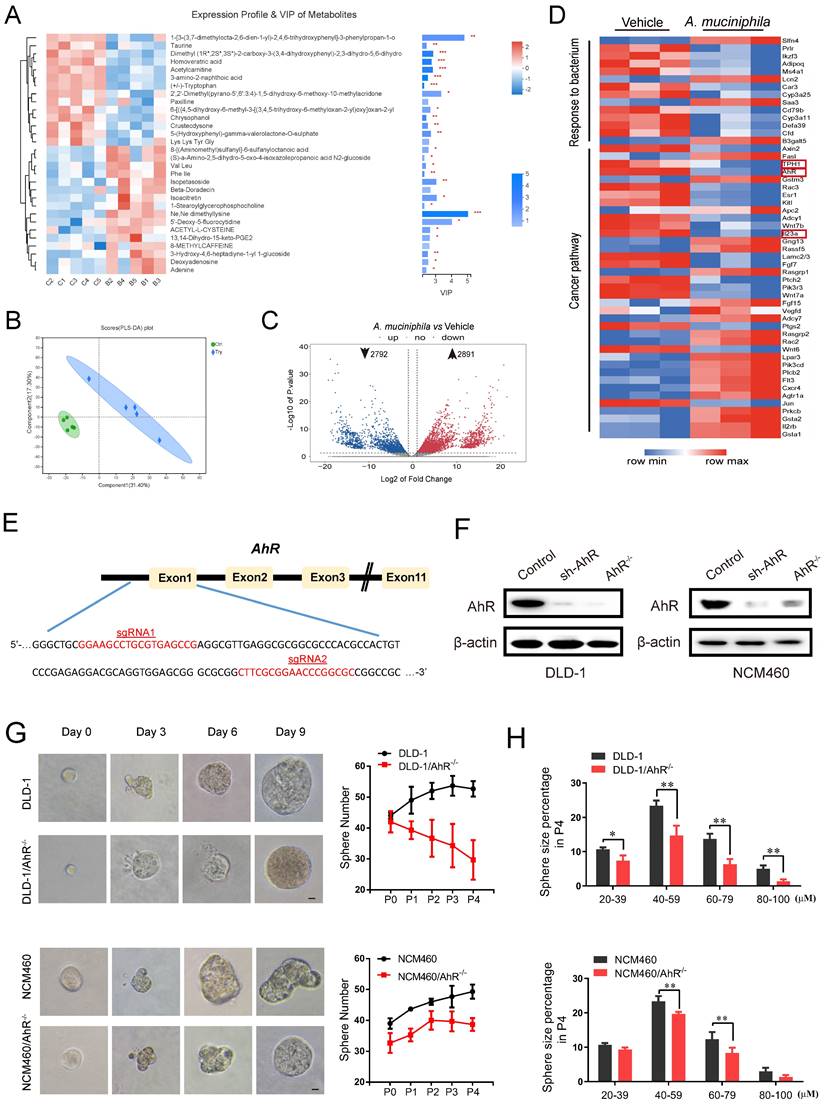 Int J Biol Sci Image