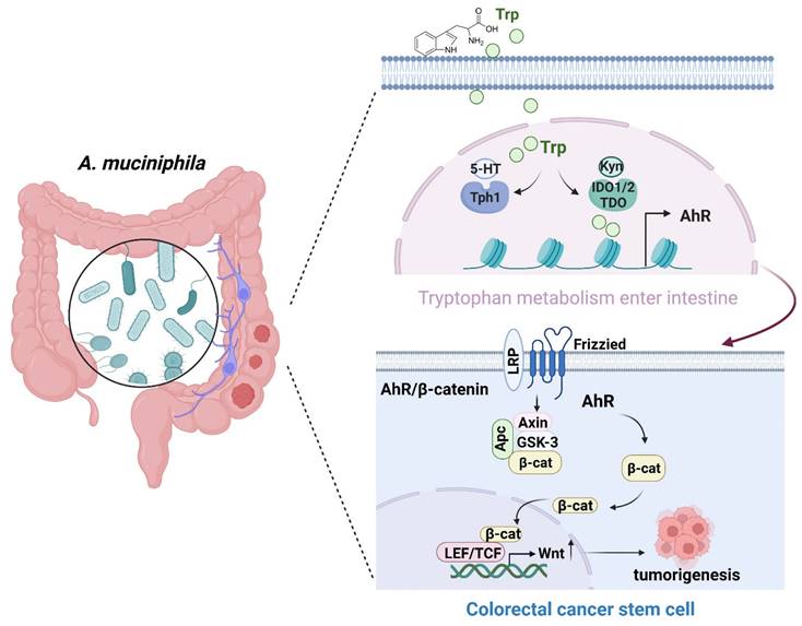 Int J Biol Sci Image