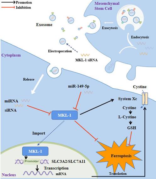 Int J Biol Sci Image